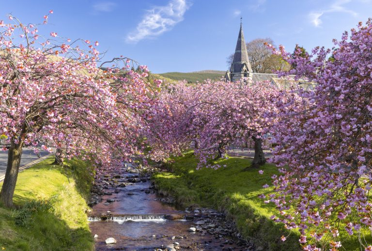 Travelling to Scotland: when is the best time of year?