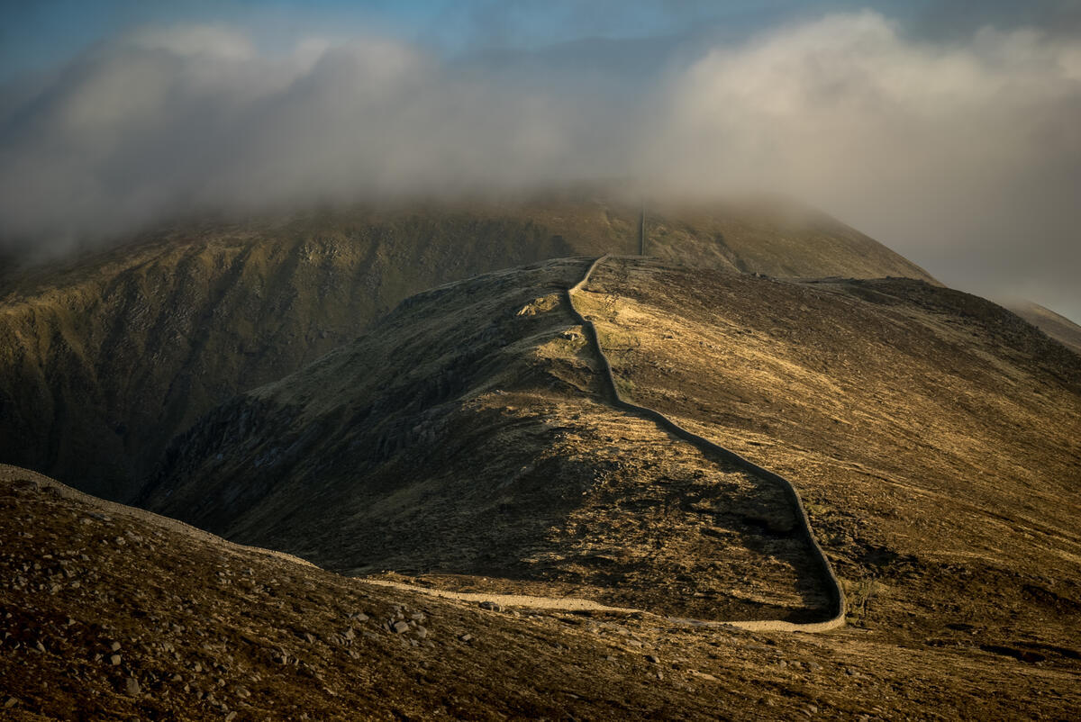 County Down