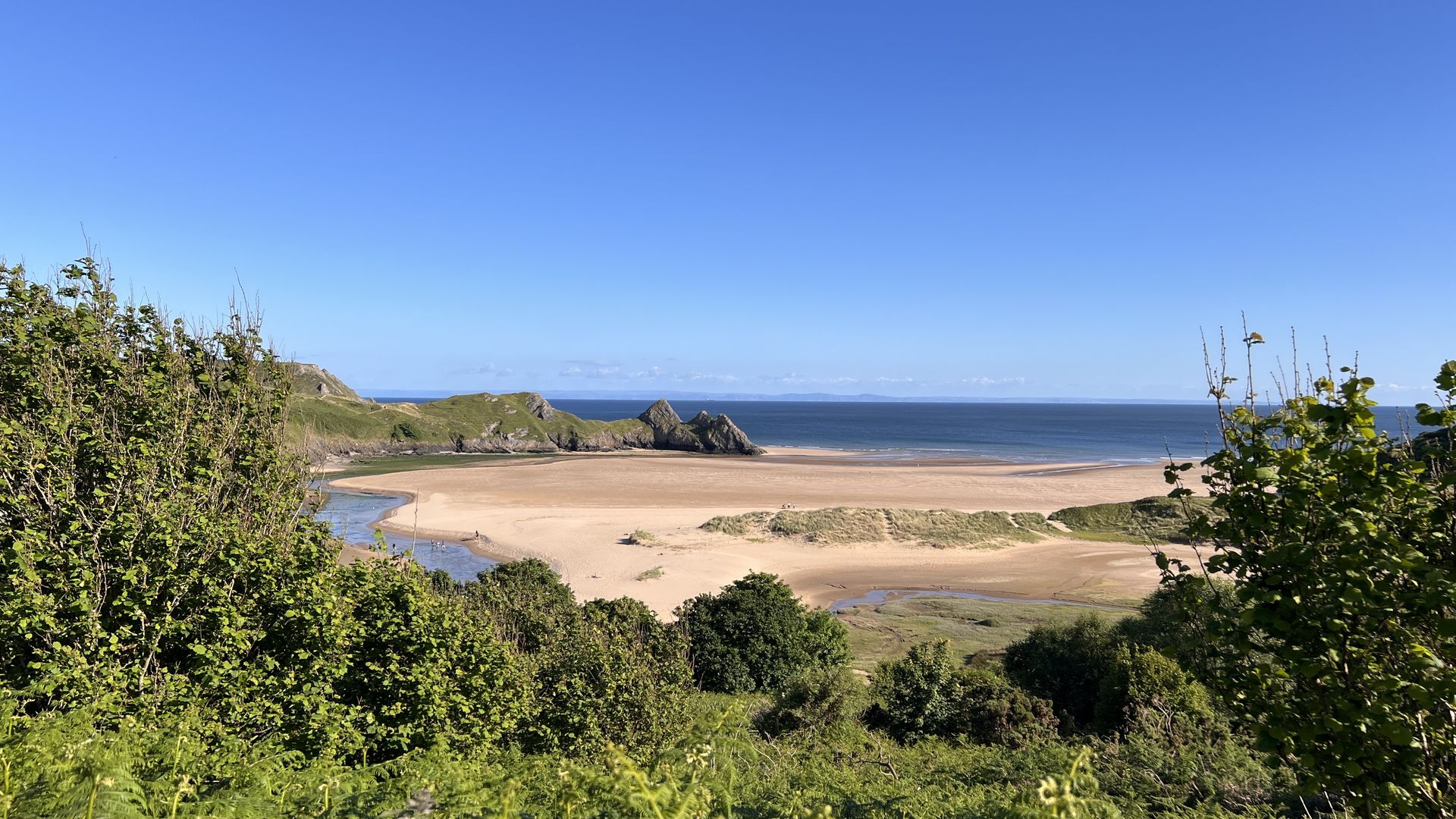 Swansea