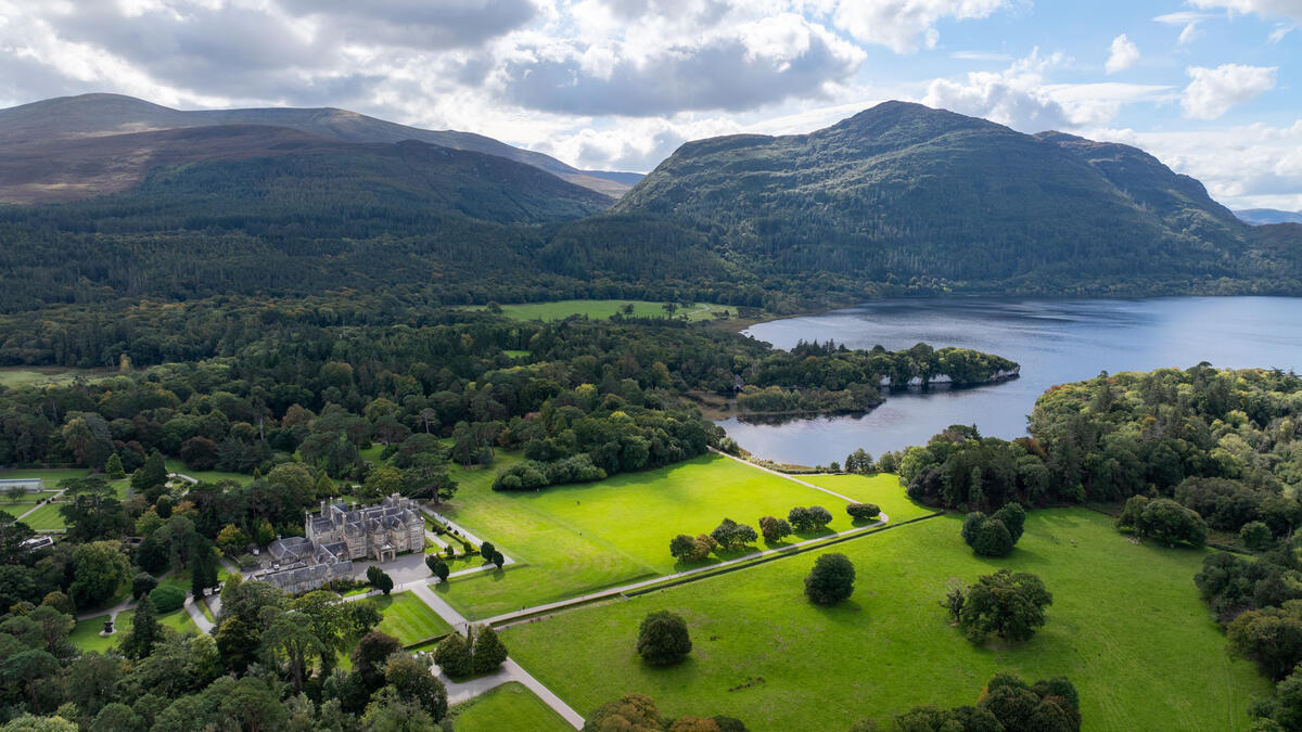 Jaunting car tour in Killarney National Park