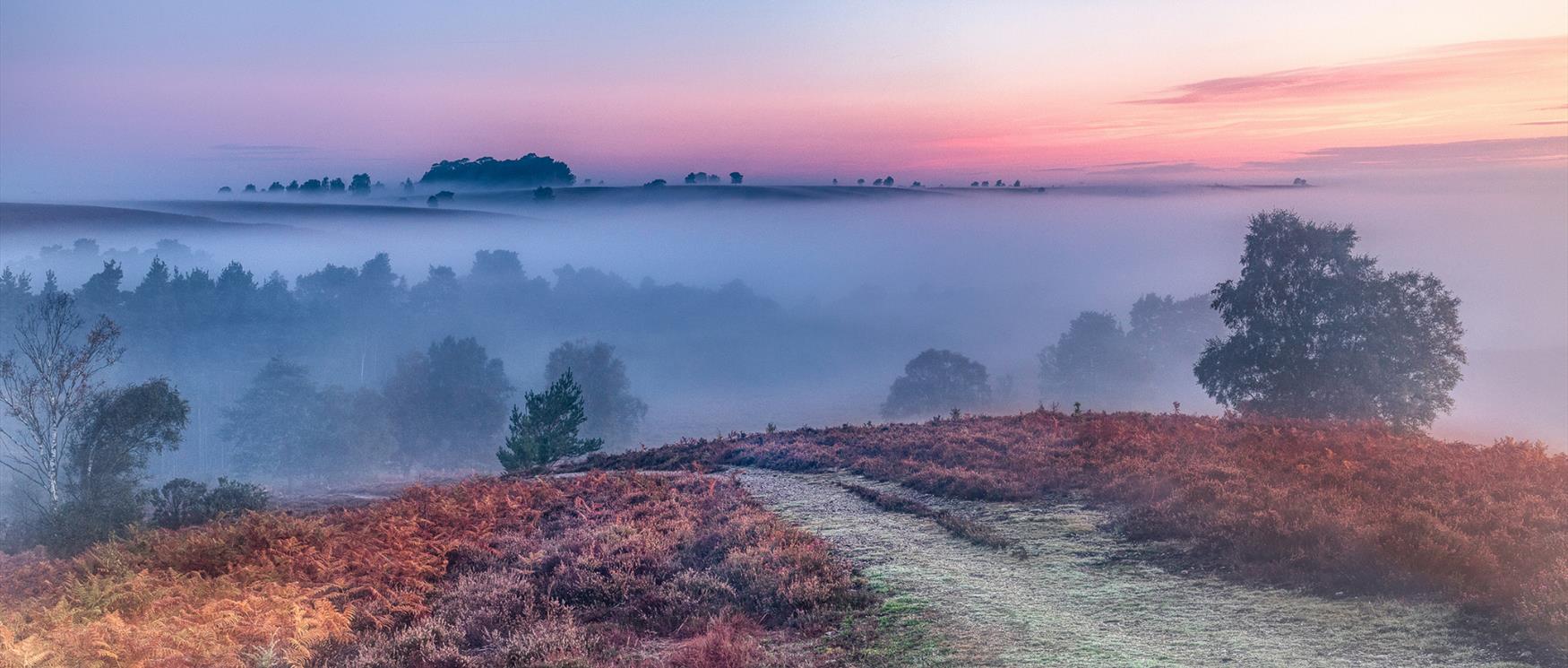Downton Abbey England